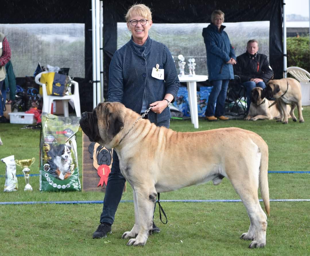 Theo and his owner